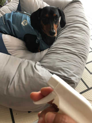 닥스화백님이 올린 리뷰 사진 2