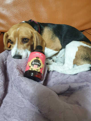 beaglelove님이 올린 리뷰 사진 1
