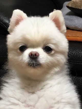 여름님이 올린 리뷰 사진 1