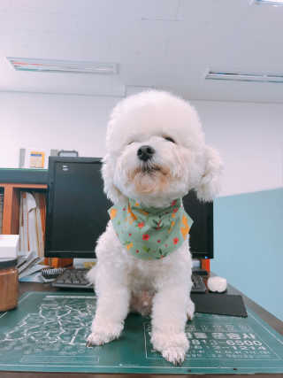 도리니님이 올린 리뷰 사진 1
