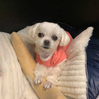 mozzaaa님이 올린 리뷰 사진 3