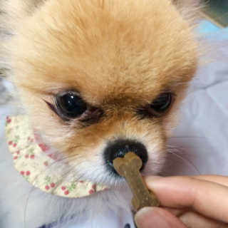 Honeyshop님이 올린 리뷰 사진 2