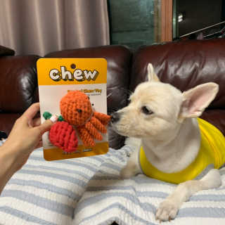지우닝님이 올린 리뷰 사진 4