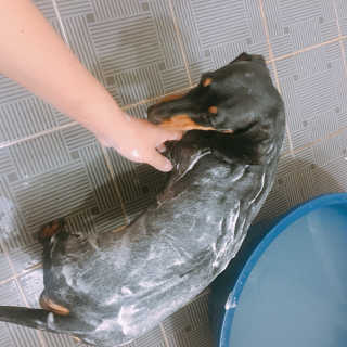 twotkdgml님이 올린 리뷰 사진 1