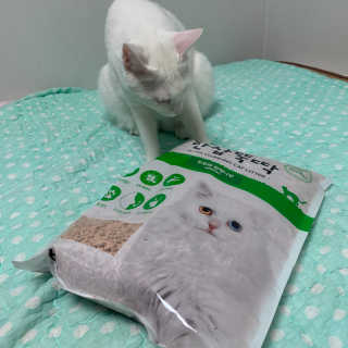EX님이 올린 리뷰 사진 3
