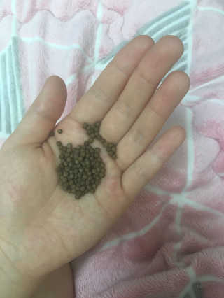 뀨뀨님이 올린 리뷰 사진 3