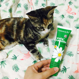 강보영님이 올린 리뷰 사진 1