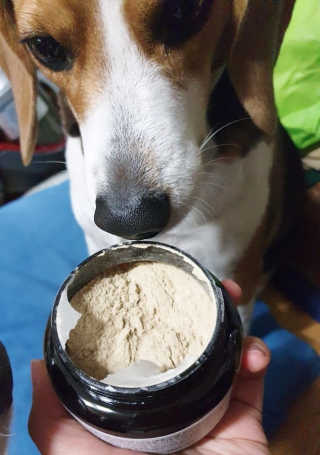beaglelove님이 올린 리뷰 사진 3