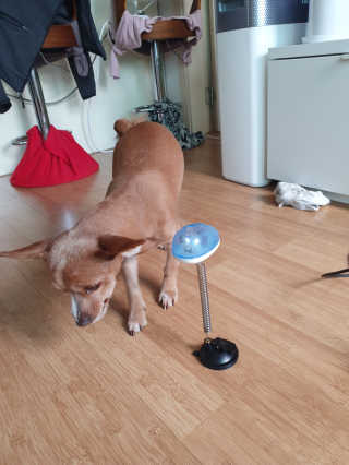 유먀님이 올린 리뷰 사진 1