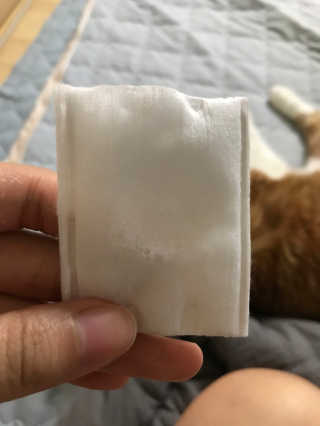 오유란님이 올린 리뷰 사진 4