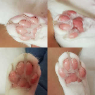 이플단미님이 올린 리뷰 사진 3