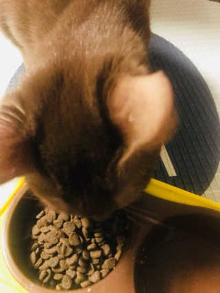 하씨님이 올린 리뷰 사진 1