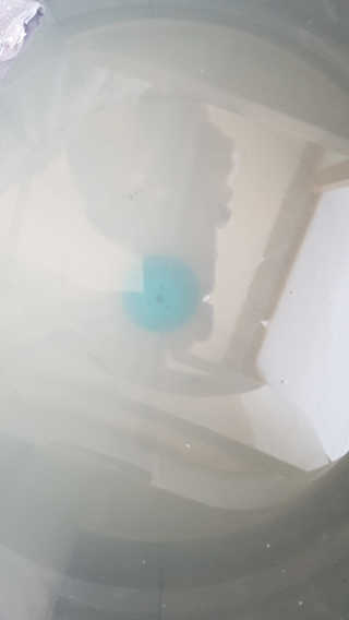 갱님이 올린 리뷰 사진 3