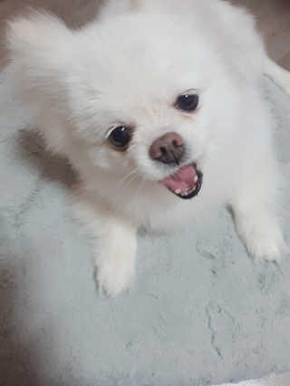 쟈스민님이 올린 리뷰 사진 2