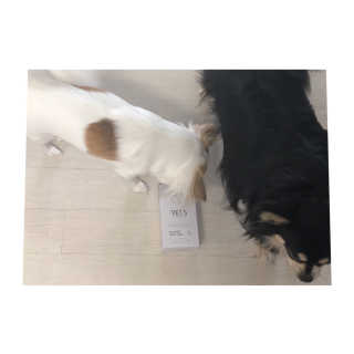 은쓸님이 올린 리뷰 사진 3