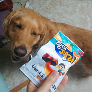아보카도올리브님이 올린 리뷰 사진 2