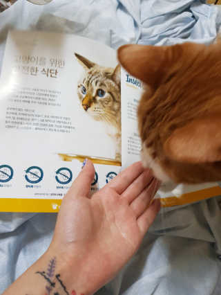 신예지님이 올린 리뷰 사진 4