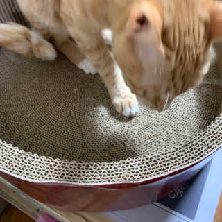 르네링님이 올린 리뷰 사진 2