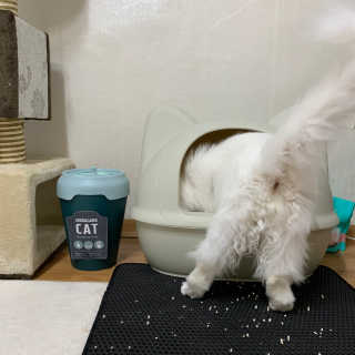 먼지님이 올린 리뷰 사진 1
