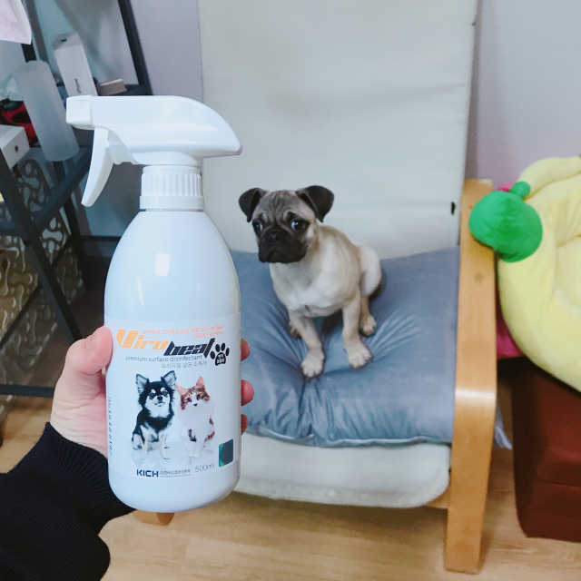 바이로비트 반려동물용 살균소독제 리뷰 사진