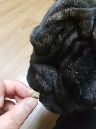 꽁남쓰님이 올린 리뷰 사진 3