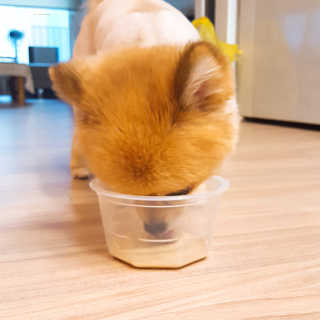 MinHa님이 올린 리뷰 사진 4