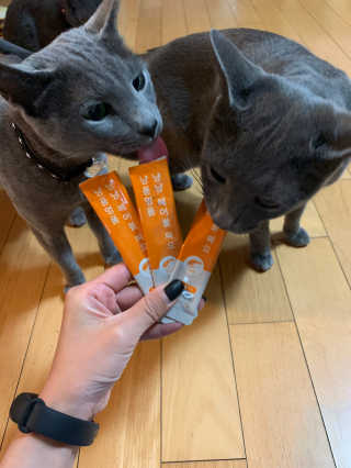 김꽁꽁님이 올린 리뷰 사진 1