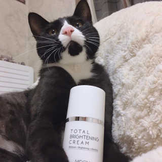 MOONSOME 문썸 토탈 브라이트닝 크림 50ml — 4점을 준 리뷰어가 2019년 3월 올린 사용 사진