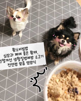 주식회사 개화 유통기한이 짧은 개밥 - 황소 비빔밥, 황소 주먹밥 — 5점을 준 리뷰어가 2019년 2월 올린 사용 사진
