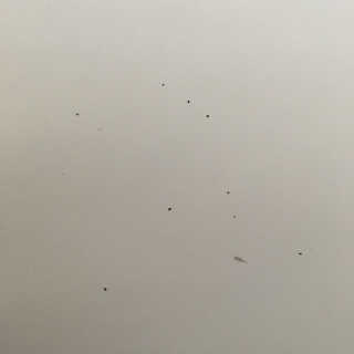 ZooNi님이 올린 리뷰 사진 3