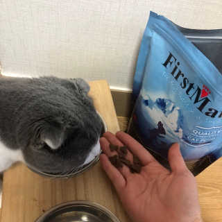 [펫토리아] 퍼스트메이트 고양이 사료 — 5점을 준 리뷰어가 2019년 3월 올린 사용 사진