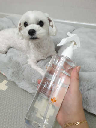[펫토리아]살균뚝딱 강아지 고양이 살균소독제 탈취제 — 4점을 준 리뷰어가 2019년 10월 올린 사용 사진
