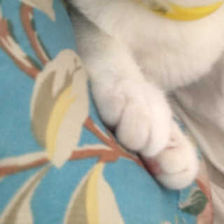 단발소녀님이 올린 리뷰 사진 2