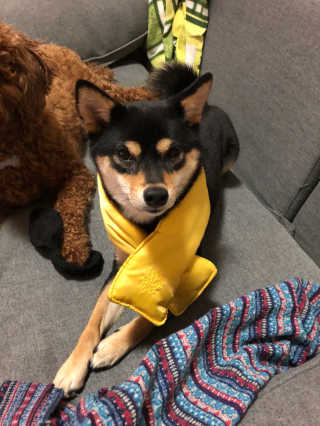 권재현님이 올린 리뷰 사진 1