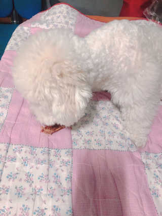 김나영님이 올린 리뷰 사진 4