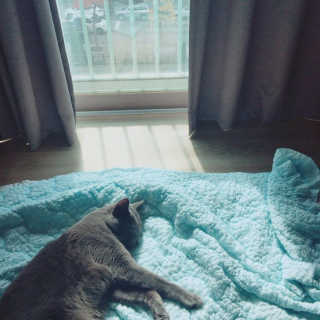 익명님이 올린 리뷰 사진 3