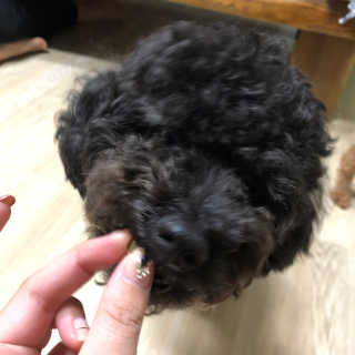 kclabt님이 올린 리뷰 사진 3
