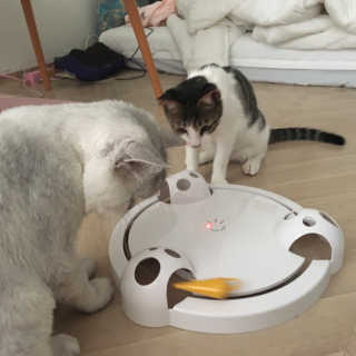 단발소녀님이 올린 리뷰 사진 2