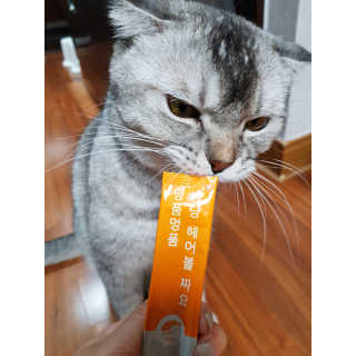 으하하하하님이 올린 리뷰 사진 2
