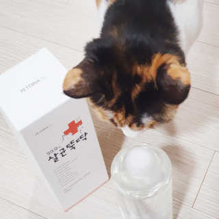 JENNY님이 올린 리뷰 사진 2