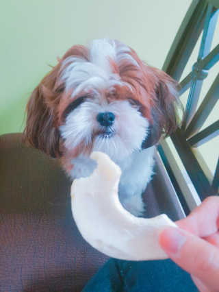 하린쨩님이 올린 리뷰 사진 1