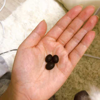 하늘님이 올린 리뷰 사진 3