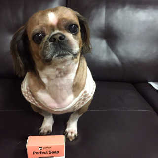 이보연님이 올린 리뷰 사진 2