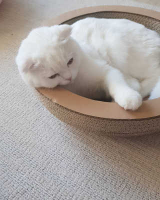 논지님이 올린 리뷰 사진 2