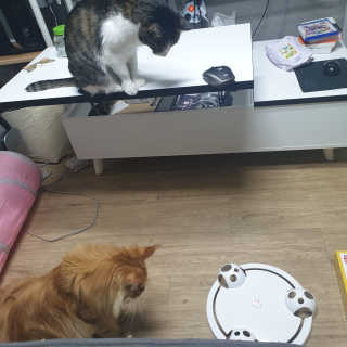 요정요정님이 올린 리뷰 사진 3