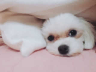 전숭생숭님이 올린 리뷰 사진 2