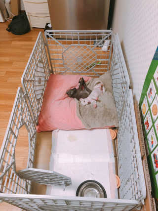 잇진님이 올린 리뷰 사진 1