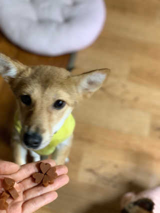세일러튜리님이 올린 리뷰 사진 4