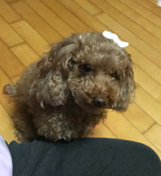 정다빈님이 올린 리뷰 사진 2