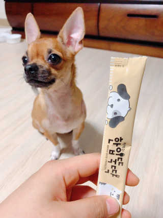 [펫토리아]짜먹는 한입뚝딱 강아지.고양이 마약간식 — 5점을 준 리뷰어가 2019년 8월 올린 사용 사진